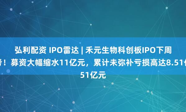 弘利配资 IPO雷达 | 禾元生物科创板IPO下周迎考！募资大幅缩水11亿元，累计未弥补亏损高达8.51亿元