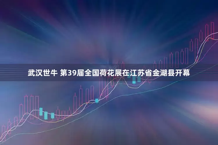 武汉世牛 第39届全国荷花展在江苏省金湖县开幕