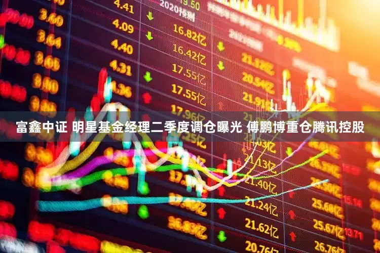富鑫中证 明星基金经理二季度调仓曝光 傅鹏博重仓腾讯控股